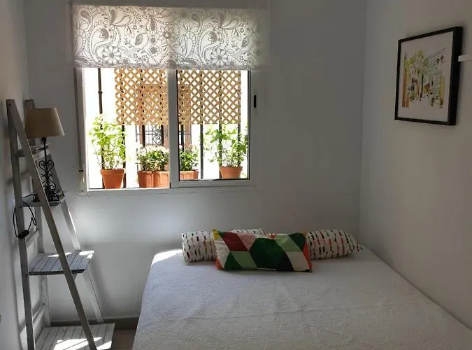 Apto. Planta Baja Y Cochera Barrio San Basilio Lejlighed *