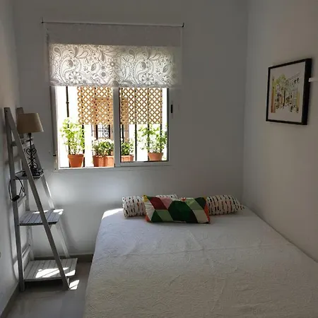 Apto. Planta Baja Y Cochera Barrio San Basilio Διαμέρισμα *