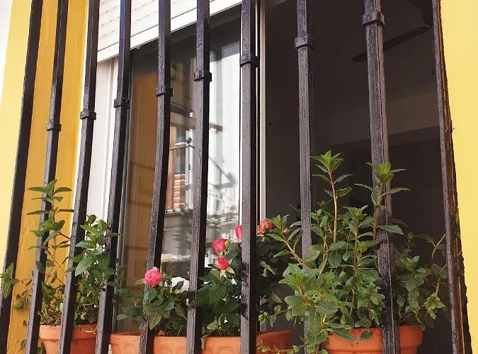 Apto. Planta Baja Y Cochera Barrio San Basilio *