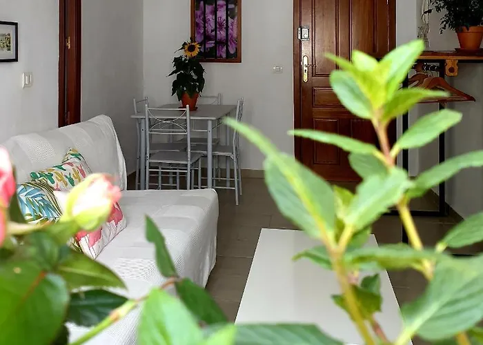 Appartamento Apto. Planta Baja Y Cochera Barrio San Basilio