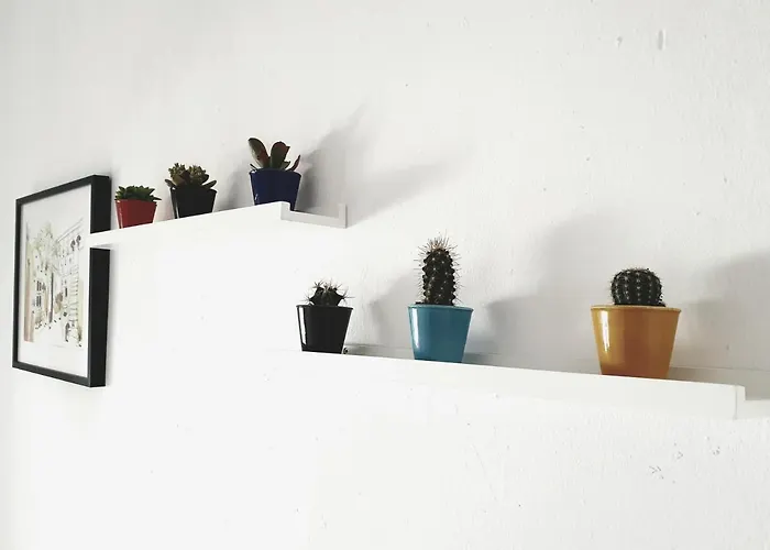 Appartamento Apto. Planta Baja Y Cochera Barrio San Basilio